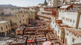 Fototapeta  - Factory for processing leather with natural materials  in Fez, Morocco.