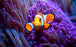 Underwater close-up of a colorful clownfish nestled among the tentacles of a sea anemone.	