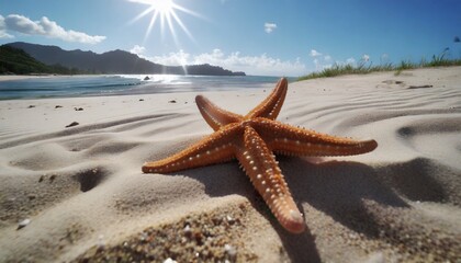 Wall Mural - sea starfish sand beach sun summer