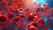 Red blood cells flowing through vein