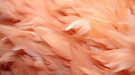 Wall Mural - Coral color soft feathers background