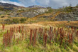 © Sebastian - Parque Nacional,  Tierra del Fuego, Argentina