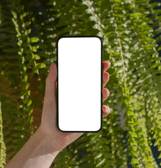 Aufkleber - Hand holding mobile phone mockup. Smartphone mock-up on green leaf plant background