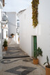 Paisaje del pueblo andaluz de Frigiliana (Málaga), con sus típicas casas de color blanco encalado y plantas