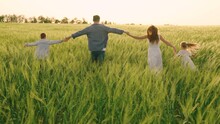 Happy family with child runs through wheat field holding hands. Slow motion. Mom, dad and children are walking together. Cheerful mother, father and little daughter play, enjoy nature outdoors, dream