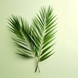 Catholic Palm Sunday, also sometimes called the sixth Sunday of Lent, which kicks off Holy Week