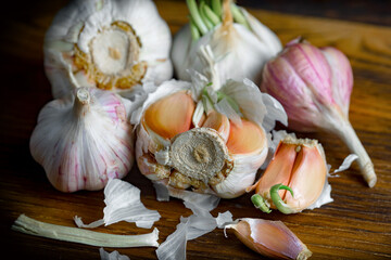 Garlic on a black background in the kitchen - a spicy vegetable