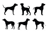 Fototapeta Pokój dzieciecy - Dog silhouette. Dog vector illustration. Affectionate puppies on white background.