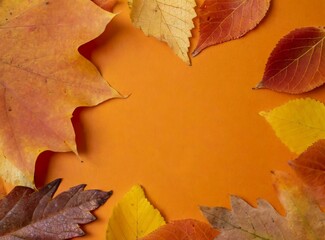 Wall Mural - Yellow and orange leaves isolated on orange background, with copy space for text or graphic design