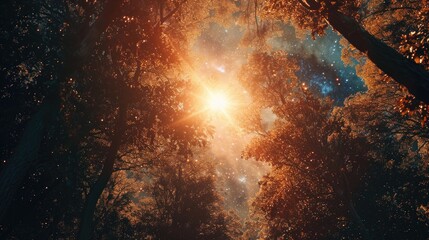 Poster - Sunlight streaming through the trees, creating a bright and natural scene. Perfect for nature-themed designs or concepts