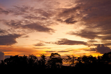 Wall Mural - Silhouette of palm trees at a beautiful colorful sunset in a rice field on the island of Bali.