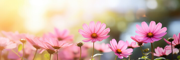 Sticker - Wide purple small flowers in front of blurred background