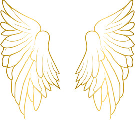 Wall Mural - Golden angel wings, gold wings	