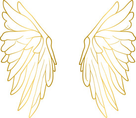 Wall Mural - Golden angel wings, gold wings	