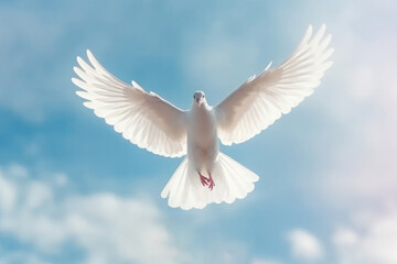 Wall Mural - A white pigeon flies in the sky. Dove of peace. AI generative