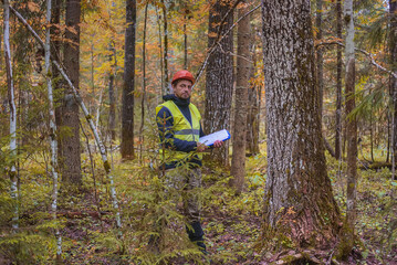 Wall Mural - Forest engineer works in the forest. A man working, looking at the camera. Real people work.