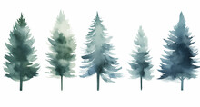 Collection Set Of Trees Pattern Watercolor	