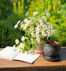 Sticker - Natural background with chamomile flowers