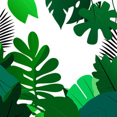Wall Mural - leaves on a tree