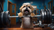 Comical pup exercises, gym escapades entertain viewers.