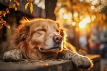 AI Illustration Of A Golden Retriever Dog Laying Against A Peaceful Scene At Sunset.