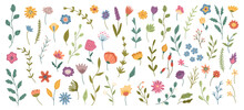 Florist Composition With Leaves And Flowers, Blossom Of Spring Or Summer. Vector Isolated Plants And Wildflowers, Tulips And Poppies, Daisies And Branches With Foliage And Stems Leafage