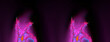 twin glowing pinky purple shaped motif on a plain background