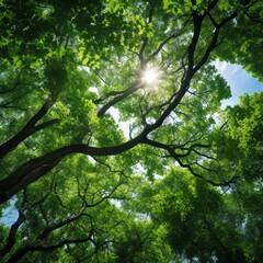 Wall Mural - Green leaves in summer. Lush and bright panorama