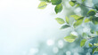 Fresh green leafy branches over a blurred background with sparkling bokeh lights.