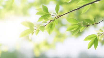 Poster - Lush green leaves on a branch, backlit by soft sunlight in a serene atmosphere.