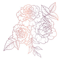 Wall Mural - Rose Line Drawing. Black and white Floral Bouquets. Flower Coloring Page. Floral Line Art. Fine Line Rose flower illustration. Hand Drawn flowers. Botanical Coloring. Wedding invitation flowers