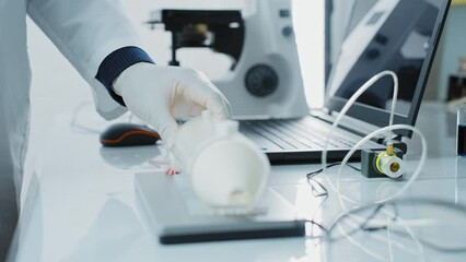 Wall Mural - laboratory research by scientists, experiments on animals rats