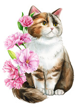 Cute Cat With Pink Apple Flowers, Sakura. Watercolor Painting Illustration, Spring Animal For Design, Poster, Cards
