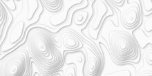 Topographic Map In Contour Line Geography Relief. Abstract Lines Background. Contour Maps. Abstract White Pattern Topography Vector Back Contour Lines Vector Map Seamless Pattern.