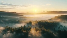 Aerial View Of Sunrise In Foggy Forest