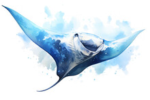 Watercolor Illustration Of Giant Manta Ray On White Background