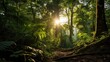 Photograph taken with a Canon EOS 5D camera, using the Canon EF 24-70mm f/2.8L II USM lens at a focal length of about 50mm. The scene is the dense and vibrant Amazon Rainforest. 