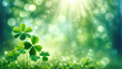 Green shamrock clover leaves natural spring background green St. Patrick's day with bokeh and sun rays