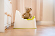 A toy bear sits on a baby potty in a room, the concept of potty training a child