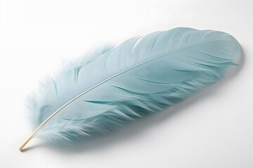 Wall Mural - beautiful soft and light fluffy feathers floating abstract. heavenly dreamy colorful swan feather.