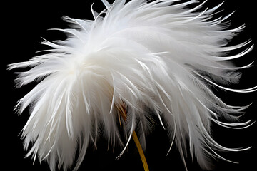 Wall Mural - beautiful soft and light fluffy feathers floating abstract. heavenly dreamy colorful swan feather.
