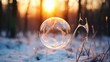 soap bubbles on a frosty december day