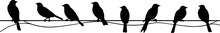 Silhouette Of Birds On The Wires For Decoration. AI Generated Illustration.