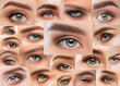 © Dimid - Collage of beautiful female eyes.Long-lasting styling of the eyebrows Eyebrow lamination.Procedure of lamination and dyeing of eyelashes. Eyelash extensions.