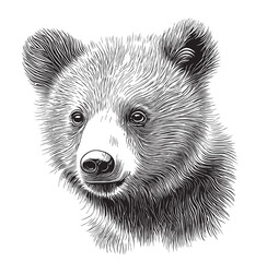 Poster - Cute animal bear cub face hand drawn sketch in doodle style illustration