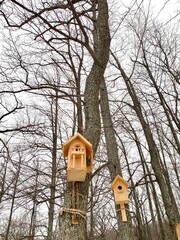  Homemade birdhouses in the trees, a house for birds made with your own hands.