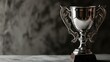 Elegant silver trophy cup on a textured grey background