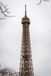 Autumn branches on the Eiffel Tower in Paris with its 2 rising elevators