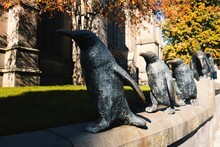 Vibrant, Outdoor Scene Featuring Dundee Penguins Sculptures
