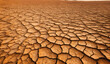 AI generated illustration of a barren landscape during a drought season.